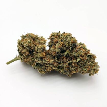 Fruit King by In House Genetics