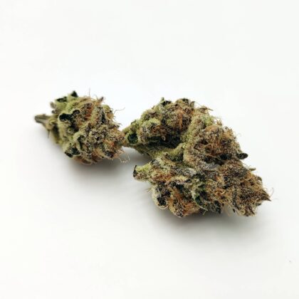 Highpoon by Spectrum Genetics