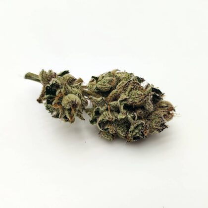 Do-Si-Dos by Archive Seed Bank