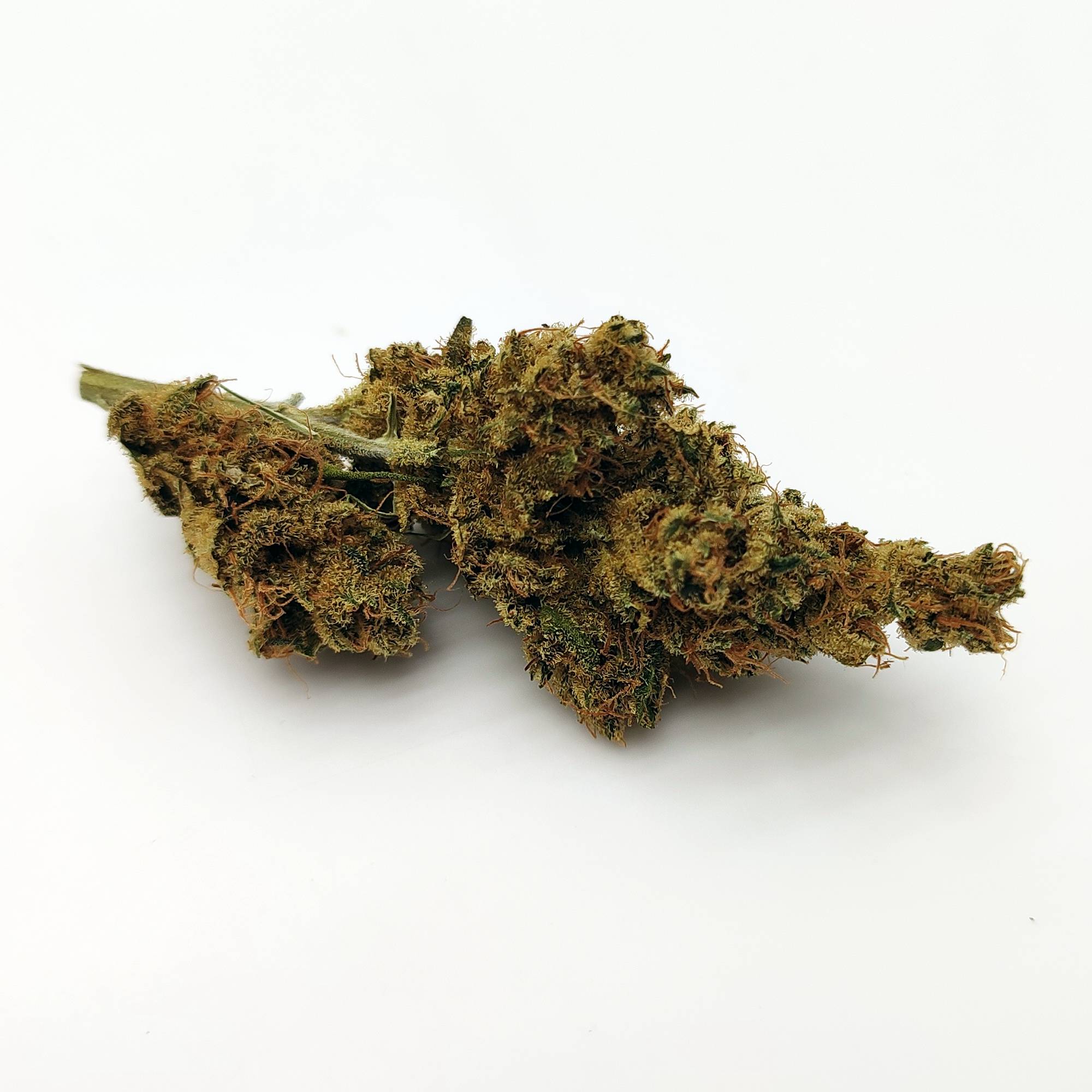 Bubblegum by Serious Seeds - Image 2