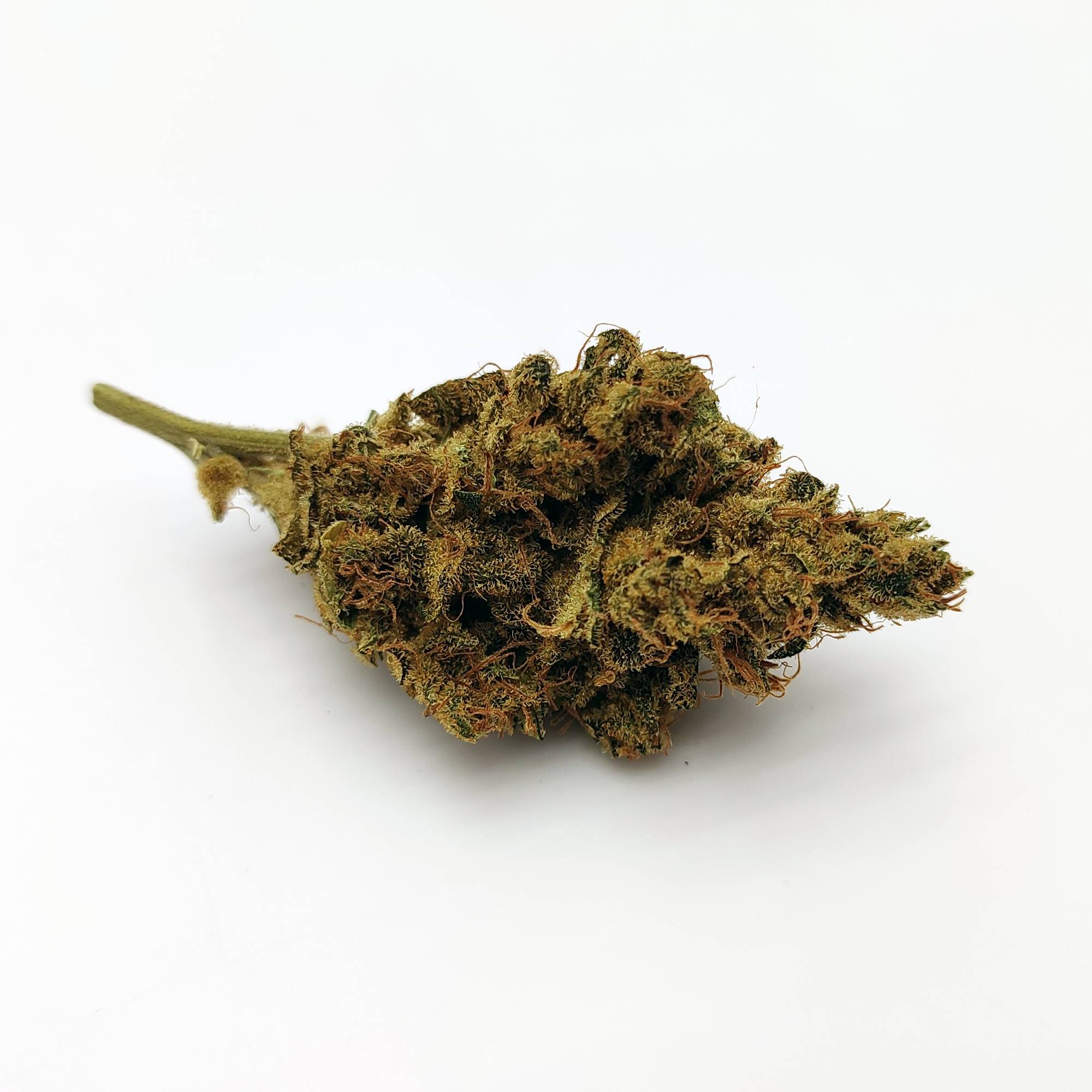 Bubblegum by Serious Seeds - Image 3