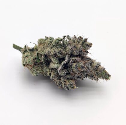 Permanent Marker by Seed Junky Genetics