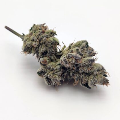 Sunset Sherbet by Jungle Boys