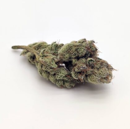 Superberry by Spectrum Genetics